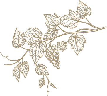 Olive Oil and Balsamic Vinegar