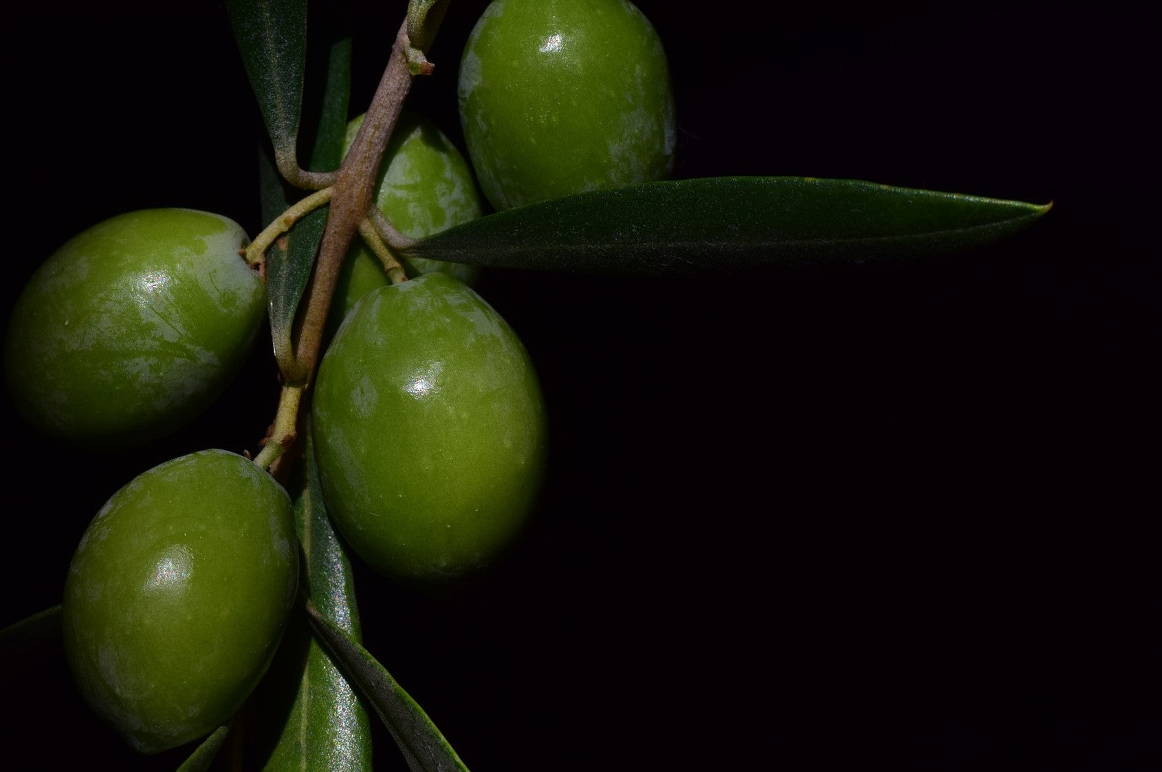 files/Olives_11d049b6-0514-41f9-9d53-f78e91113017.jpg